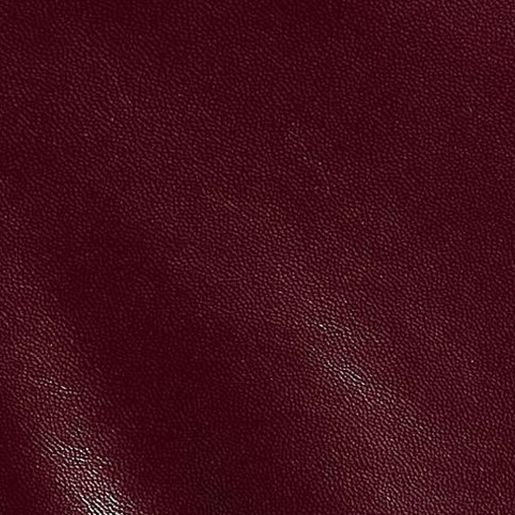 Photo 19283003