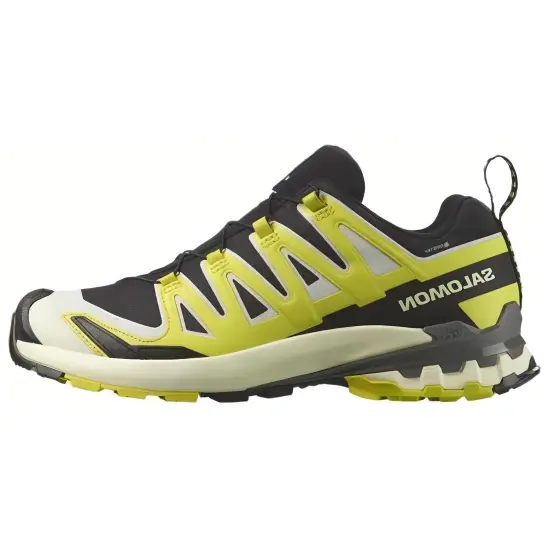 SALOMON XA Pro 3D V9 Running Shoes Men Low-Top Black/Sulfur Spring/White Aluminum