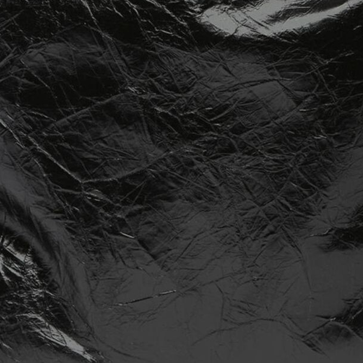 Photo 20869078