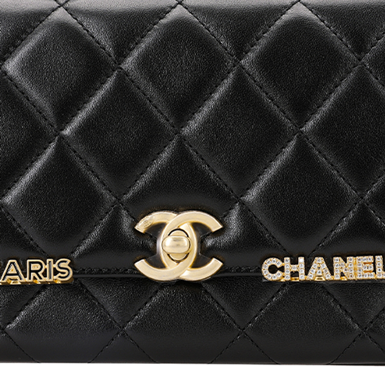 Женская сумка Chanel 23C (черная) — фото 5