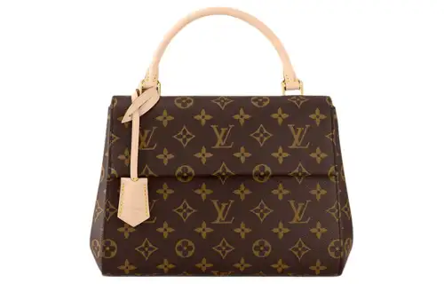 LOUIS VUITTON Cluny Bb