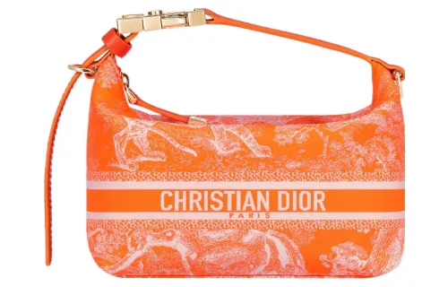 DIOR DiorTravel Embroidery Lunch Bag Clutch Handbag Small Women's Orange