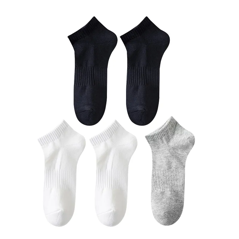 Warrior Ankle Socks Men's 5 Pack