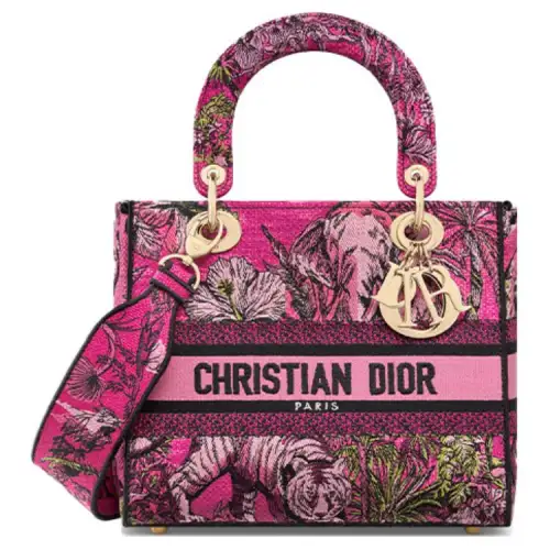 DIOR Handbags