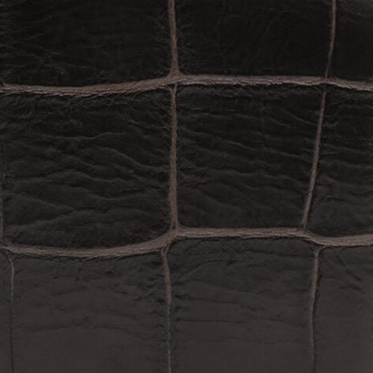 Photo 22256481
