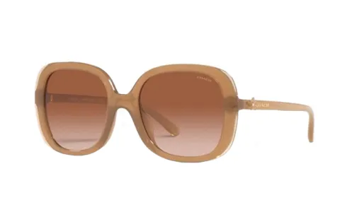 COACH Square Sunglasses Women's Brown
