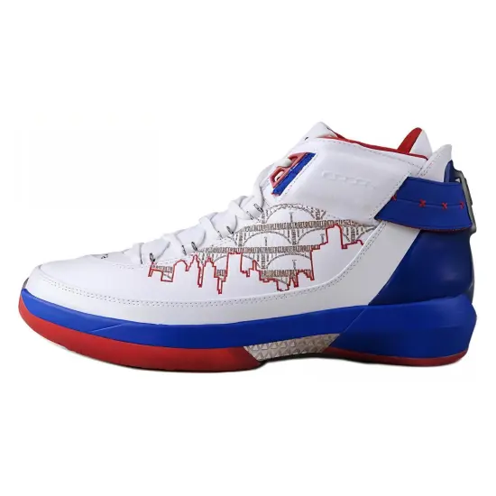 JORDAN 22 Og Rip Hamilton Pe