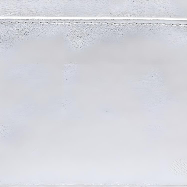 Photo 21066000