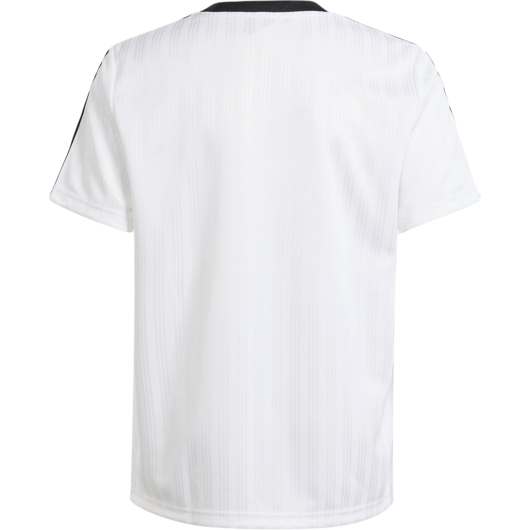 Мужская футболка adidas originals ADICOLOR TEE (белая) — фото 2