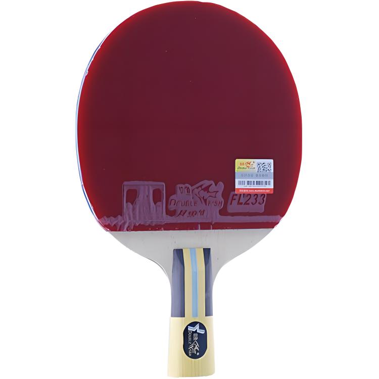 DOUBLE FISH Ping Pong Paddles