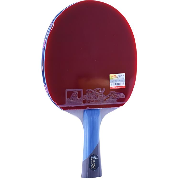 DOUBLE FISH Ping Pong Paddles