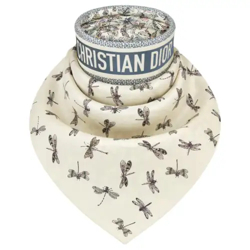 DIOR Silk Scarves Women's Beige