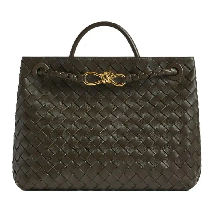 Bottega Veneta Andiamo Medium Shoulder Bag