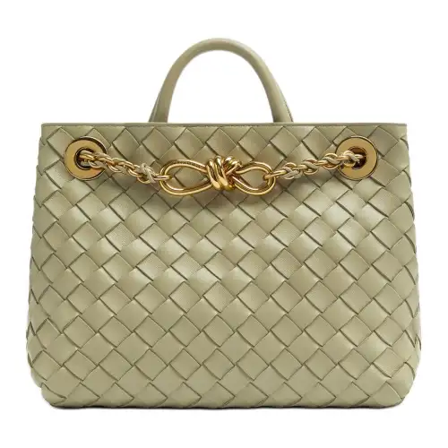 Bottega Veneta Andiamo Handbags