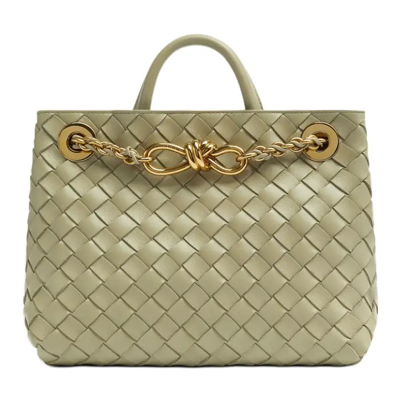 Bottega Veneta Andiamo Handbags