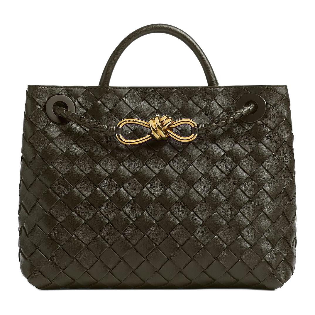 Bottega Veneta Andiamo Small Tote Bag