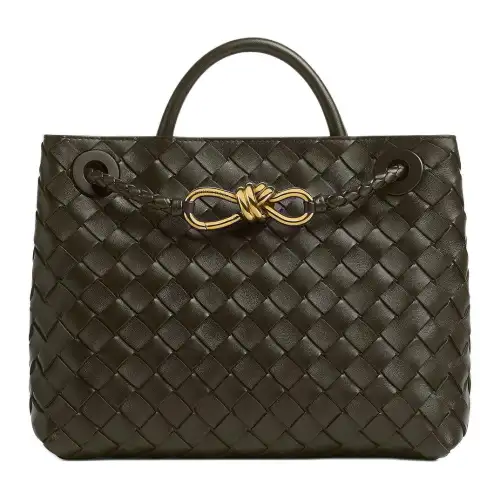 Bottega Veneta Andiamo Small Tote Bag