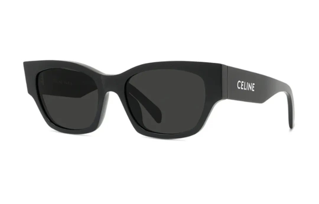 CELINE Monochroms 01 Sunglasses In Acetate