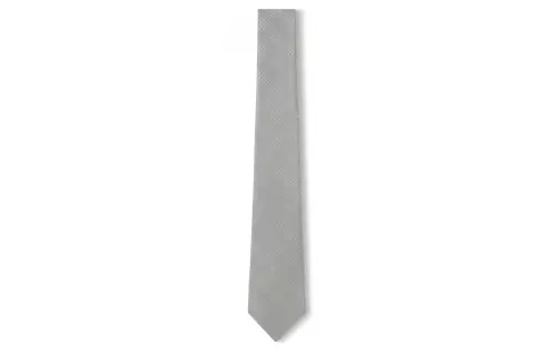 LOUIS VUITTON Damier Mulberry Silk Ties Unisex Gray