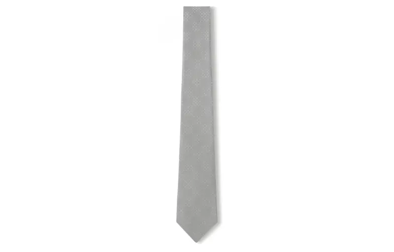 LOUIS VUITTON Damier Mulberry Silk Ties Unisex Gray