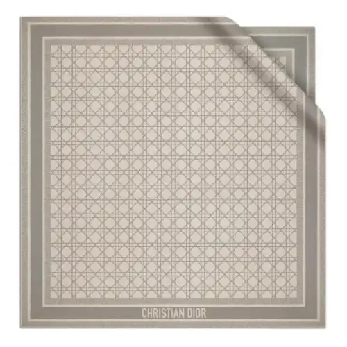 DIOR Silk Silk Scarves Women's Gray