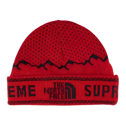 Supreme The North Face Fold Beanie
