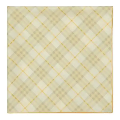 Burberry Checked Finished-Edge Scarf