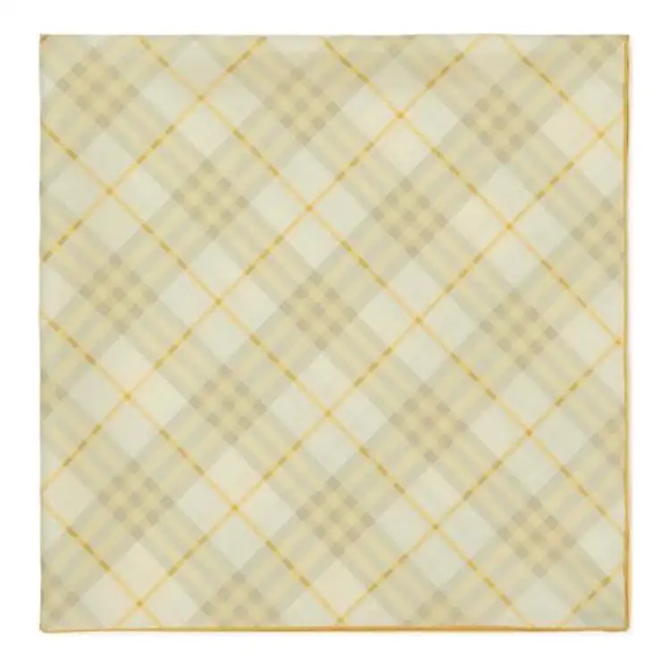 Burberry Checked Finished-Edge Scarf