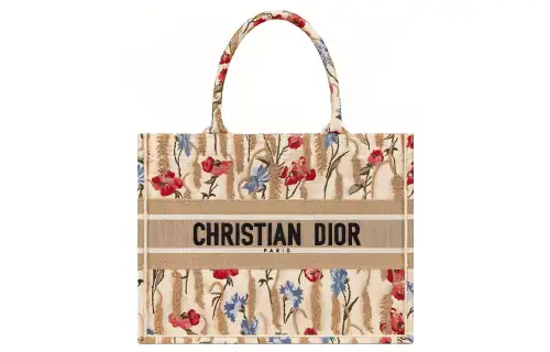 DIOR BookTote Embroidery Canvas Bag, Tote Bag, Shopping Bag, Handbag Small Women's Beige/Multicolor