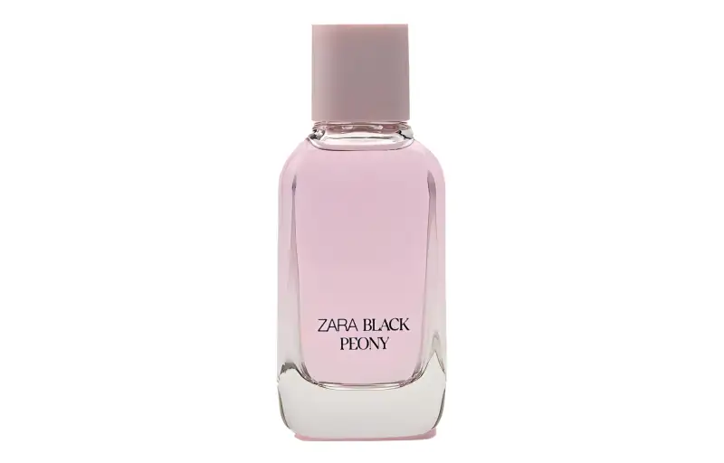 ZARA Nutritious floral