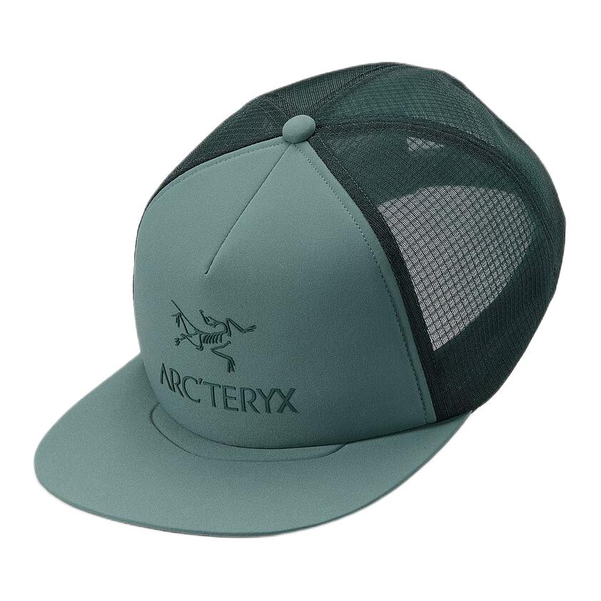 Кепка Arcteryx с логотипом (синяя)