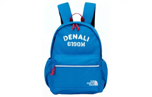 THE NORTH FACE Backpack Outdoor Bag Polyester Blue Unisex
