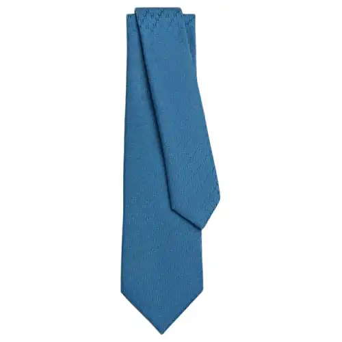 HERMES Mulberry Silk Ties Men's Blue