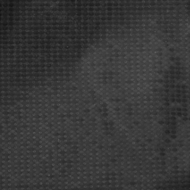 Photo 18847018