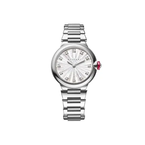 BVLGARI LVCEA Wrist Watches Automatic Mechanical Movement Stainless Steel Watchband 33mm White Dial Women's Watch