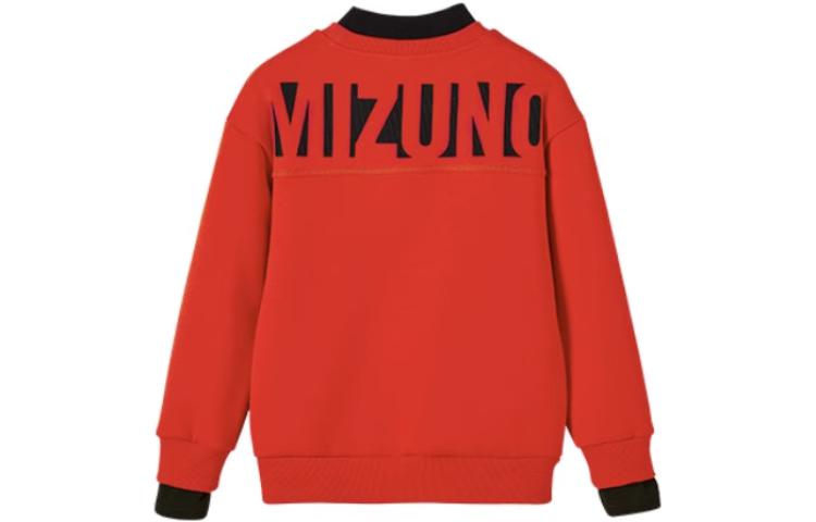 Женская толстовка Mizuno (разноцветный) — фото 12