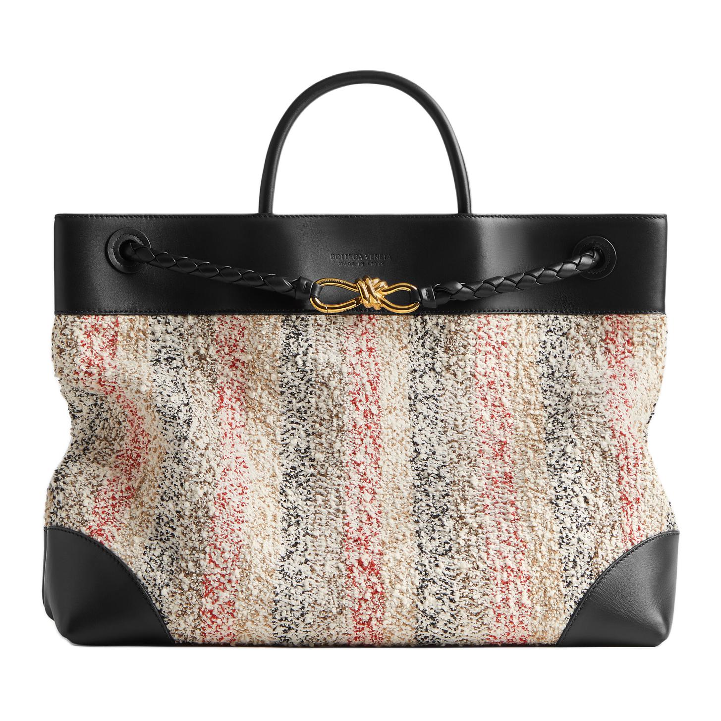 Bottega Veneta Andiamo Handbags