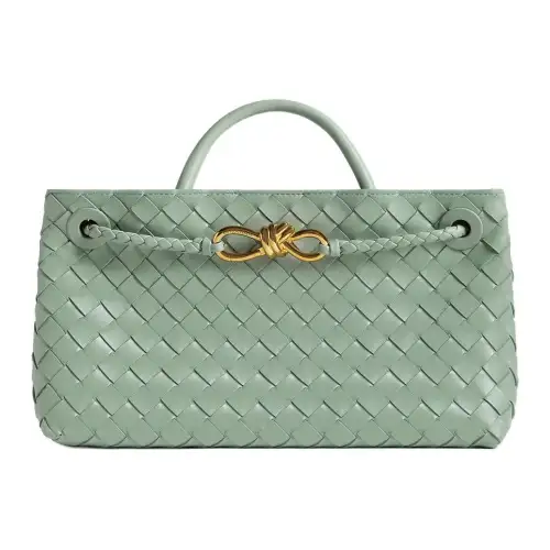 Bottega Veneta Andiamo Sheepskin Shoulder Bag, Crossbody Bag, Handbag Small Women's Sage Green