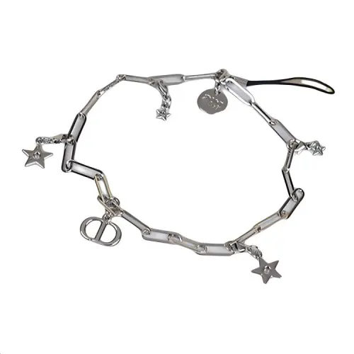 DIOR Phone Accessories Unisex Silver/Gold
