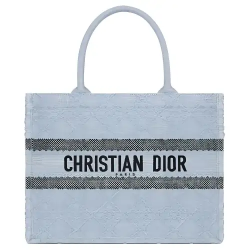 DIOR BookTote Raffia Grass Tote Bag, Shopping Bag, Handbag Medium Women's Sky Blue