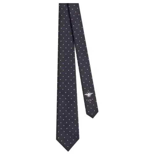 DIOR Silk Ties Women's Dark Blue