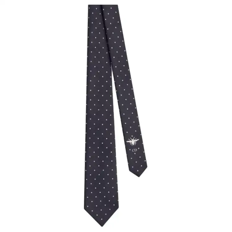 DIOR Silk Ties Women's Dark Blue