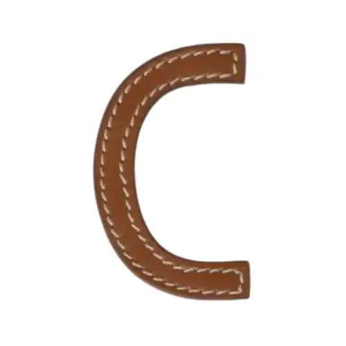 MIU MIU Leather Brooches Women's Umber