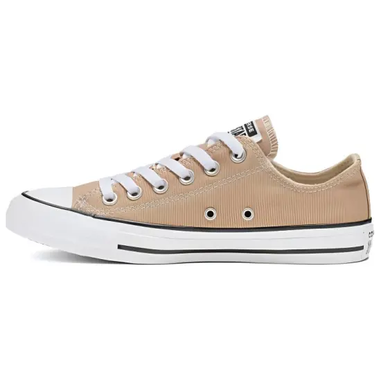Converse Chuck Taylor All Star Canvas Shoes Unisex Low-top Palm Tree