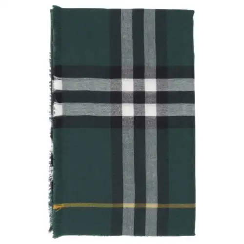 Burberry Wool Knit Scarves Women's Green