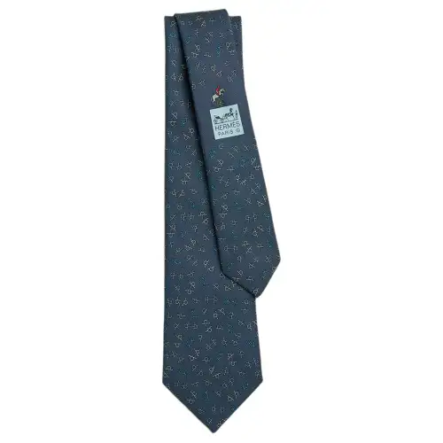 HERMES Silk Ties Unisex Couple's Blue