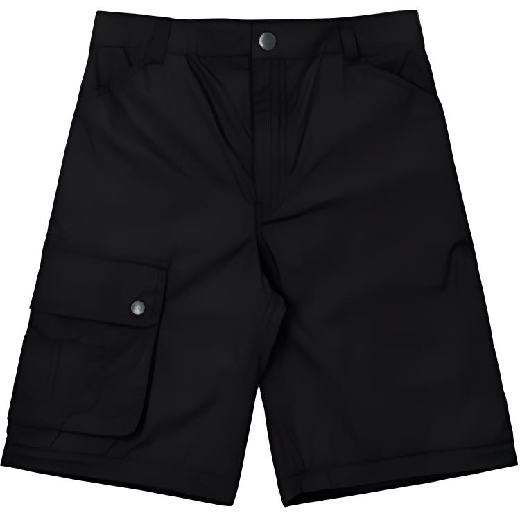 Штаны Dickies SS22 (черный) — фото 2