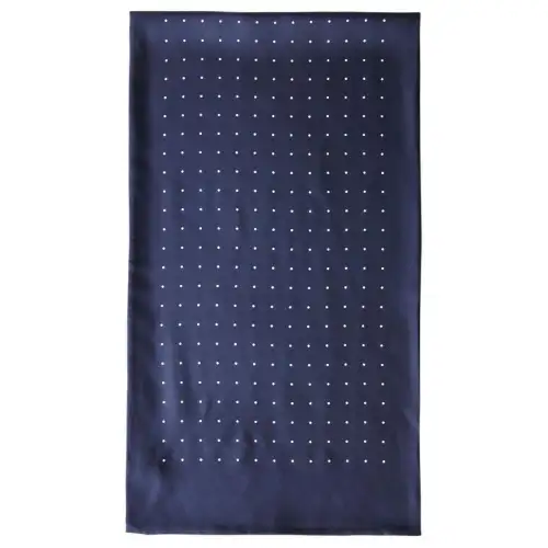 Loro Piana Silk Scarves Men's Blue