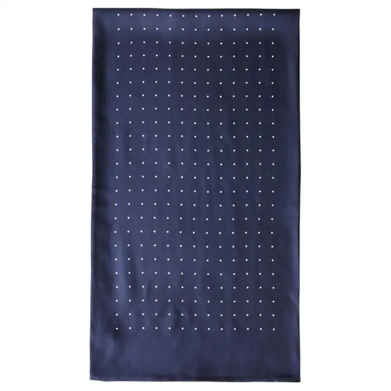 Loro Piana Silk Scarves Men's Blue