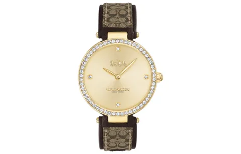 COACH Park Wrist Watches Quartz Movement Genuine Leather Strap Gold Dial Women's Watch